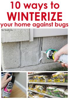 the words 10 ways to winterize your home against bugs are in red and white