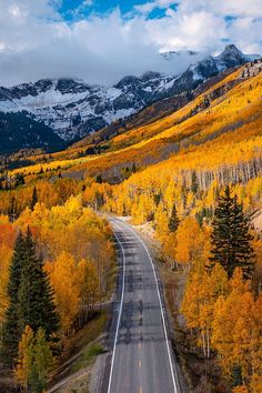 an empty road surrounded by trees and mountains with snow on the top, in autumn