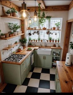 a kitchen filled with lots of plants and hanging lights