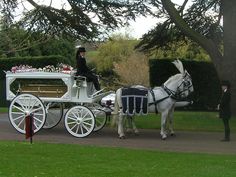 a white horse pulling a carriage down a street next to a man in a suit