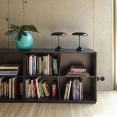 a bookshelf with two lamps on each side and a potted plant in the middle