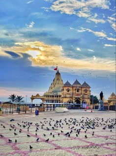 a large group of birds sitting on the ground in front of a building with a sky background