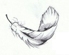 a pencil drawing of a feather on a white paper