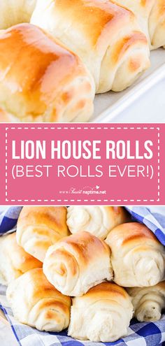 the best lion house rolls recipe is made with only four ingredients, and it's so easy to make