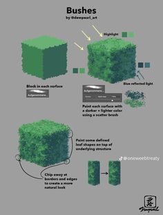 the different types of bushes are shown in this diagram