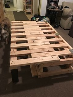 a dog standing next to a bed frame made out of wooden planks in a living room