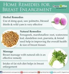 Natural Breast Enlargement : Top 11 Home Remedies | Organic Facts Supplements For Bigger Breast, Herbs For Bigger Breast, Fenugreek For Breast Growth, Dong Quai Benefits, Blessed Thistle Benefits, Fenugreek Benefits, Pueraria Mirifica, Breast Massage, Dong Quai