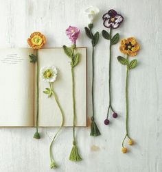 four flowers are arranged on top of an open book, with the pages lined up