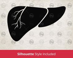 the silhouettes of two lungs are shown in black and white, with text that reads silhouette