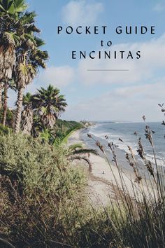 palm trees on the beach with text overlay that reads pocket guide to encinias