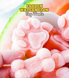 frozen watermelon dog treats in a bowl with the words frozen watermelon dog treats