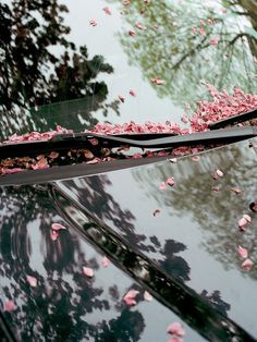 the hood of a car is covered in pink flowers and petals as it sits outside