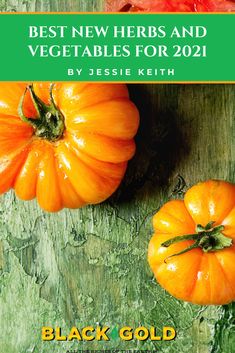 two orange pumpkins sitting on top of a wooden table