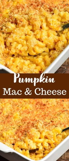 pumpkin macaroni and cheese in a white casserole dish on a wooden table