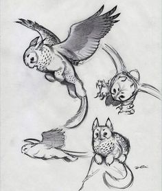 an owl and two owls flying in the air with their wings spread out, while another bird