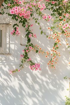 pink flowers growing on the side of a white building