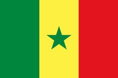 the flag of guinea is shown in red, green and yellow with a star on it