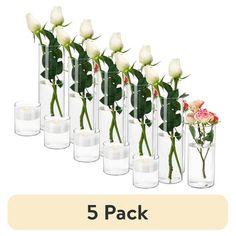 six clear vases with roses in them and the text 5 pack on each side