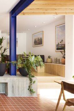 a living room filled with lots of plants next to a blue pillar in the center