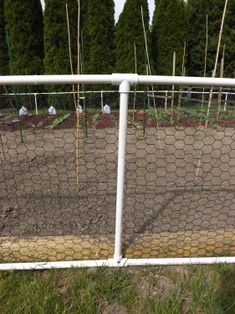 the fence is white and has plants growing through it, along with other trees in the background