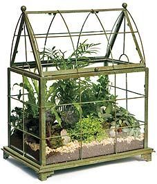 a green house shaped planter filled with plants