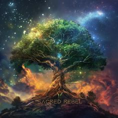 a tree on top of a hill with the words sacred reel written below it in gold and blue