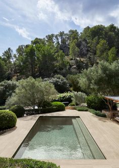 an outdoor pool surrounded by trees and bushes