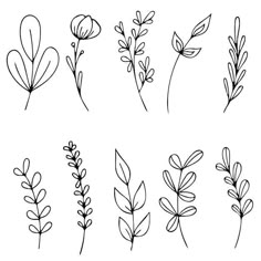 the different types of flowers drawn by hand