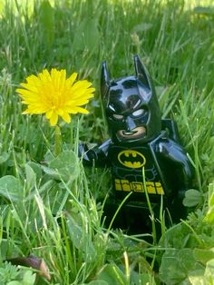 a lego batman standing in the grass next to a dandelion with a yellow flower