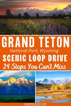 Scenic Loop Drive in Grand Teton Yellowstone National Park Vacation, Yellowstone Vacation, Yellowstone Trip, Wyoming Travel, National Park Vacation, National Parks Usa, National Parks Trip, Us National Parks, Scenic Drive