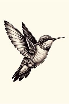 a black and white drawing of a hummingbird flying in the air with its wings spread