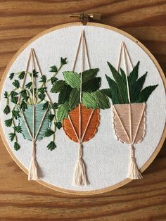 three potted plants are hanging on a hoop with tassels and leaves in them