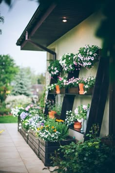 several potted plants are lined up on the side of a house, along with other flowers