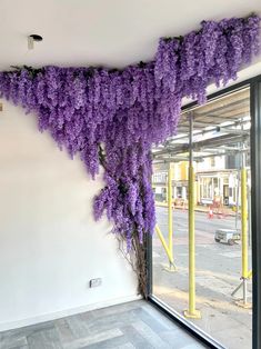 purple flowers are growing on the side of a building in front of a large window