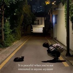 a man kneeling down next to a black cat on a street at night with the caption it is peaceful when you're not interested in anyone anymore