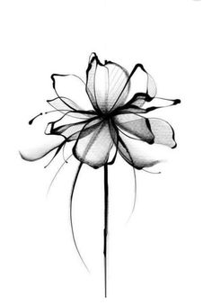 a black and white drawing of a flower on a pole with long stems in the center