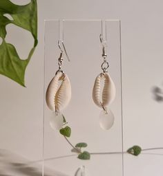 Beautiful cowrie shell and devon hand collected sea glass. Each earring are unique! and handmade in Devon! Beach Earrings With Recycled Glass And Ear Wire, Unique White Beach Earrings, Handmade White Glass Earrings, White Recycled Glass Jewelry For The Beach, White Cowrie Shell Earrings For The Beach, Handmade White Beachy Earrings, Glass Dangle Earrings For The Beach, Sea Glass Teardrop Earrings For Beach, Cowrie Shell Earrings