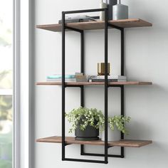 a shelf with some plants and books on it