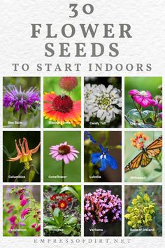 the cover of 30 flower seeds to start indoors