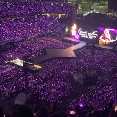 a large crowd at a concert with purple lighting