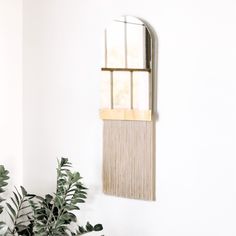 a mirror hanging on the wall next to a plant and potted plant in front of it