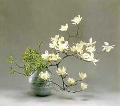 a vase filled with white flowers on top of a table