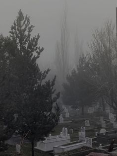 foggy cemetery with trees and headstones in the foreground on a gloomy day