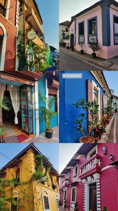 four different colored buildings with windows and plants on the outside, in front of them