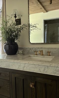 a bathroom sink with a large mirror above it and a plant on the counter top