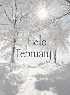 a snowy road with trees and the words hello february