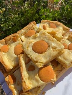 several pieces of dessert sitting on top of a white plate in front of some bushes