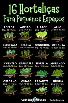 an image of plants that are labeled in spanish