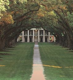 an image of a building that is in the middle of trees with leaves on it