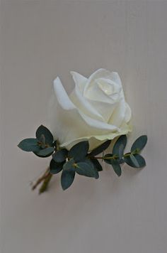 a single white rose with green leaves on a light colored background, in the corner of a room